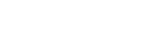 2010-