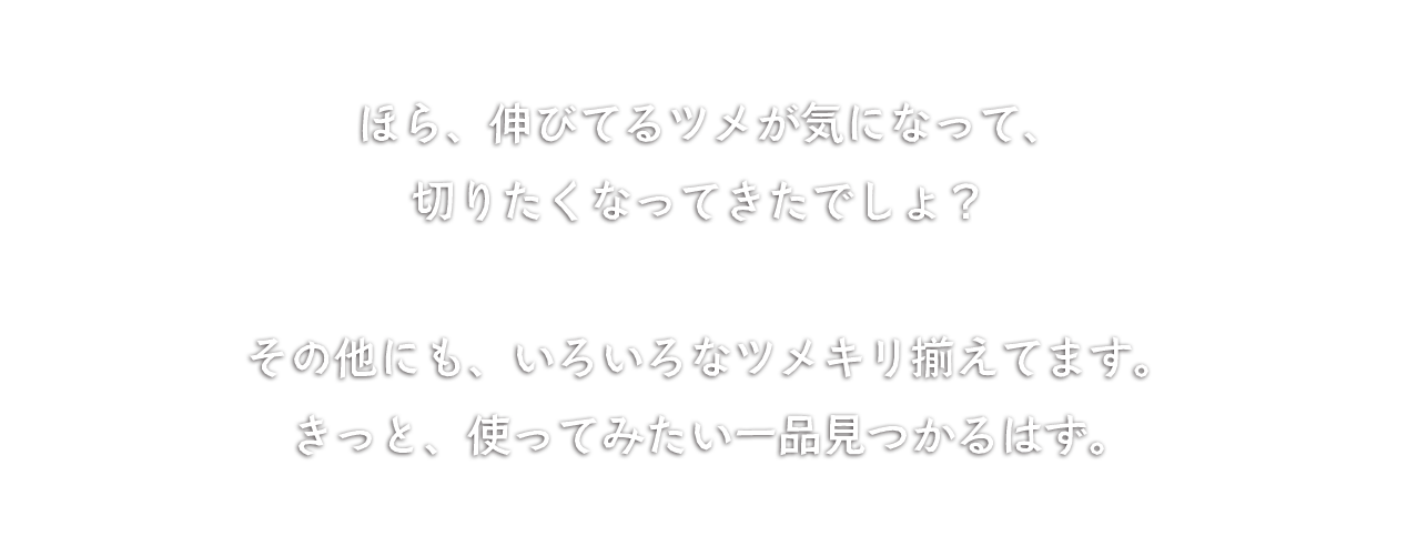 きっと、使ってみたい一品見つかるはず。